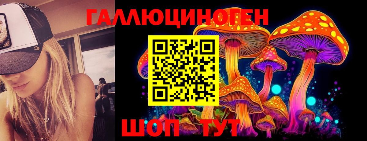 Видное  Псилоцибиновые грибы MAGIC MUSHROOMS  Вход с VPN 
